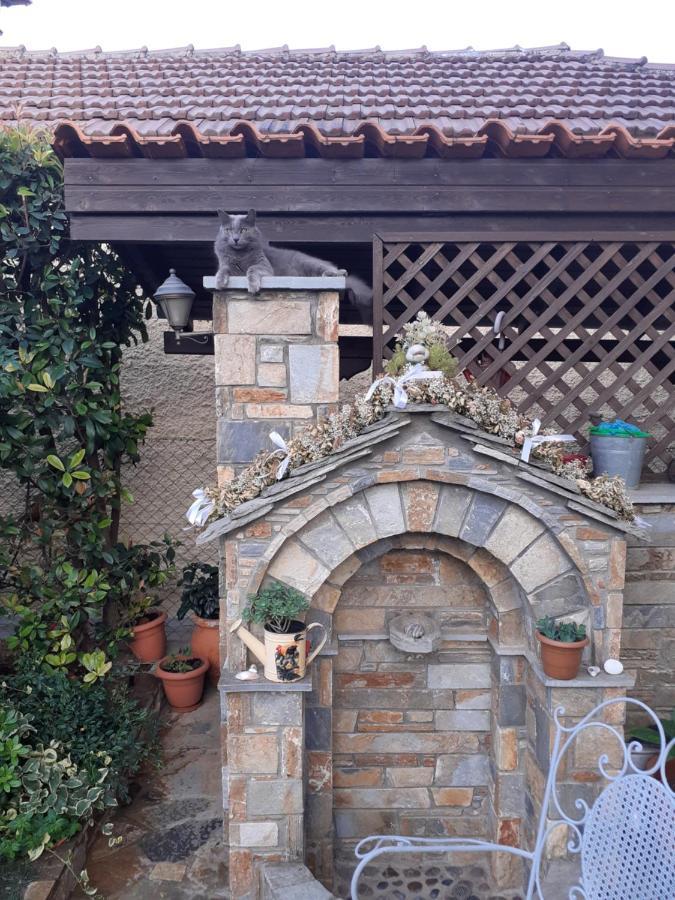 Traditional Maisonette In Pelion Volos Exterior photo